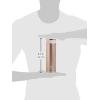 imageZojirushi Stainless Steel Travel Mug with Tea Leaf Filter 16Ounce046Liter Deep BluePink Champagne